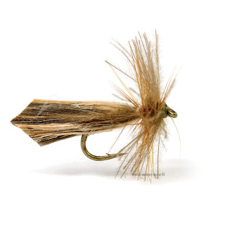 Mosca DEVAUX Sedge 432C
