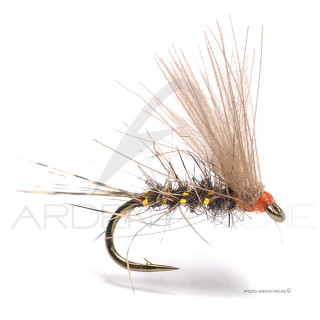 Mosca Florian Stéphan C9K