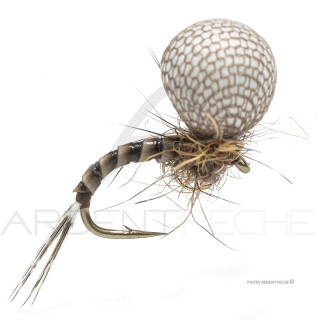 Fly Florian Stéphan EM3