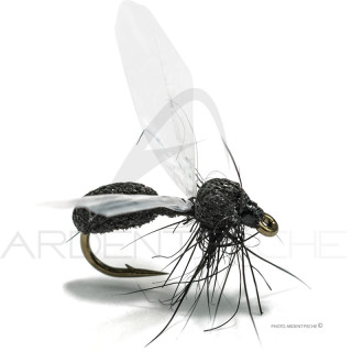 Florian Stéphan Fly Ant F4