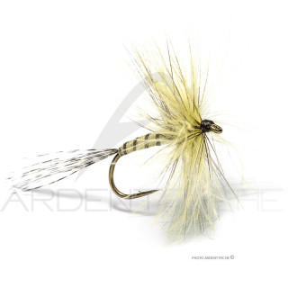 Fly Florian Stéphan Mai M213