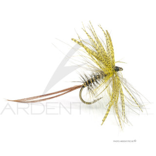 Fly Florian Stéphan Mai M214