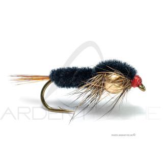 Fly Florian Stéphan Montana du theil