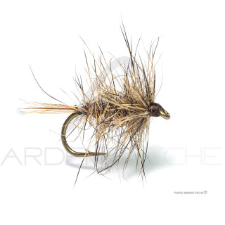 Fly Florian Stéphan N1