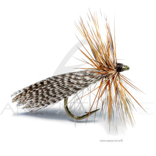 Florian Stéphan CDC Sedge Fly S2G