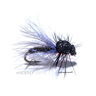 Fly Igor and Nadica Stancev CDC Bibio