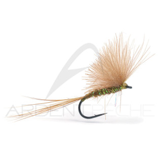 Fly Igor and Nadica Stancev CDC Dun Brown