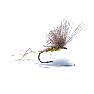 Mosca Igor e Nadica Stancev CDC dun olive