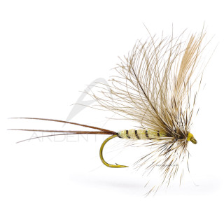 Mosca Igor e Nadica Stancev CDC hackle mayfly