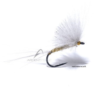 Mosca Igor e Nadica Stancev CDC pale watery