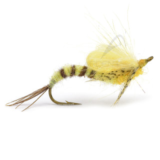 Mosca Igor e Nadica Stancev emergente di maggio