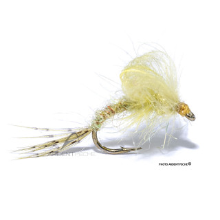 Fly Igor and Nadica Stancev Emergente loop sulphur