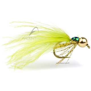 Mouche Igor et Nadica Stancev nymphe de libellule