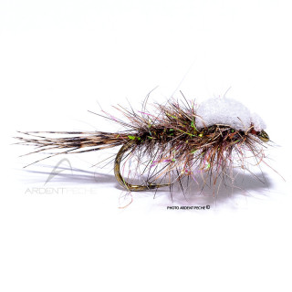 Fly Igor and Nadica Stancev Hare's ear