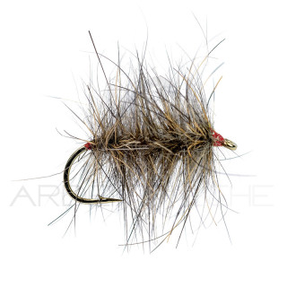 Fly Igor and Nadica Stancev Hare Palmer