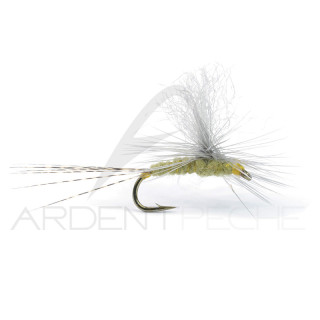 Mosca Igor e Nadica Stancev parachute BWO
