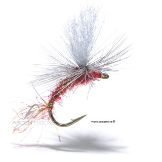 Fly Igor and Nadica Stancev Parachute claret