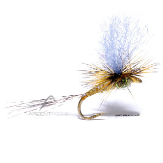 Mosca Igor e Nadica Stancev Parachute dark olive