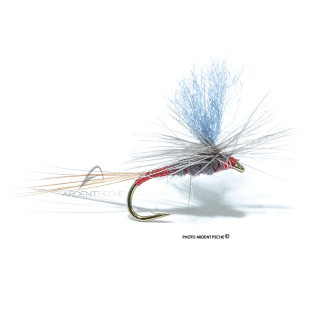 Mosca Igor e Nadica Stancev Parachute Iron blue dun