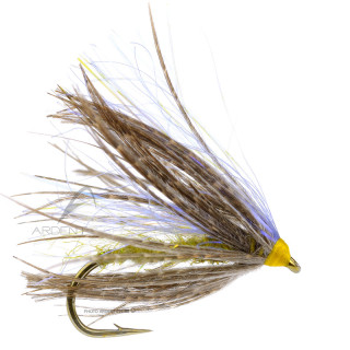 Mouche Igor et Nadica Stancev Peute olive