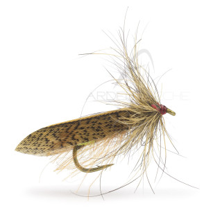 Mosca Igor e Nadica Stancev sedge brown partridge