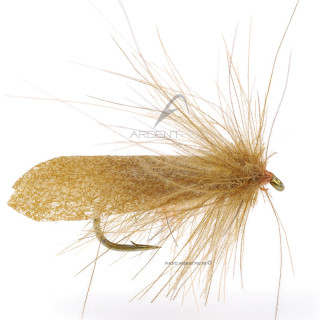 Mosca Igor e Nadica Stancev sedge cinnamon CDC