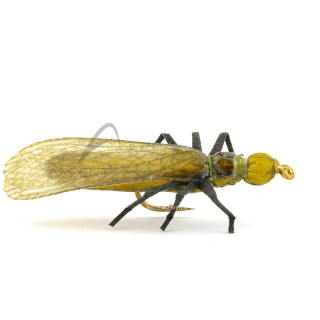 Mosca realistica Stonefly dry II Skwala