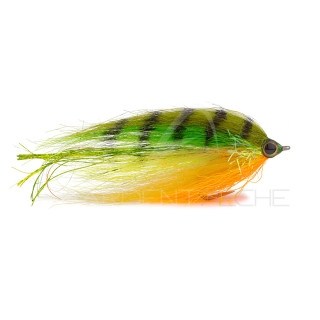 Mosca RIO Flashdance Fire Tiger