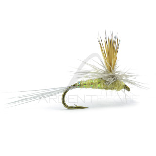 RIO Parachute Wulff PMD Fly