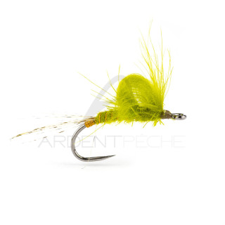 Mosca STS emergente di maggio olive