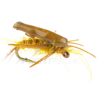 Alan Campbell Nymph SBN 003