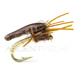 Alan Campbell Nymph SBN 010