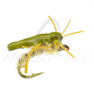 Nymphe Alan Campbell SBN 020