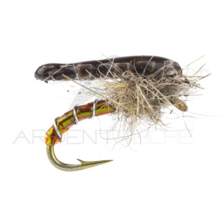 Ninfa Alan Campbell SBN 032