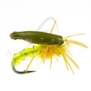 Ninfa Alan Campbell SBN 041