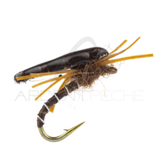 Ninfa Alan Campbell SBN 051