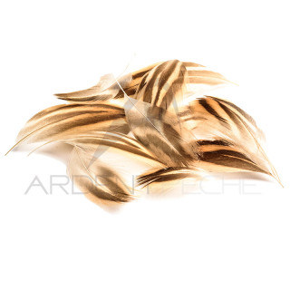 Flank plus breast of duck DEVAUX