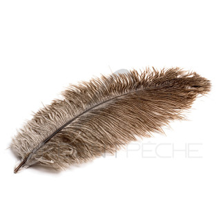 Natural Ostrich Feather DEVAUX