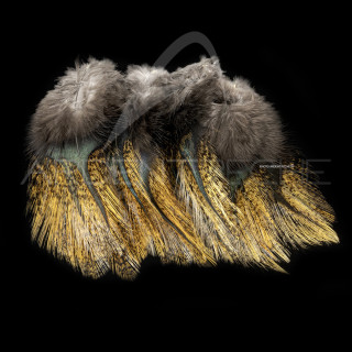 Pardo SELECT grade 3 flor de escoba Feathers