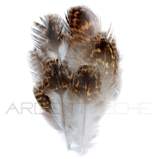Grouse feathers 2g bag