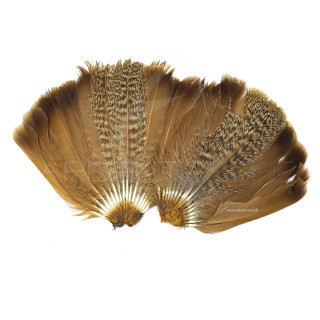 Partridge complete tail