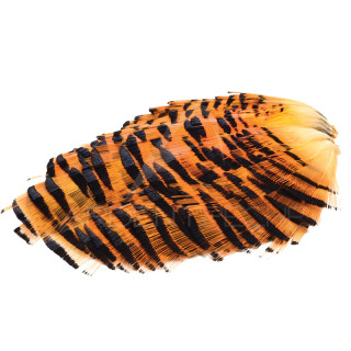 Golden Pheasant Tippet DEVAUX
