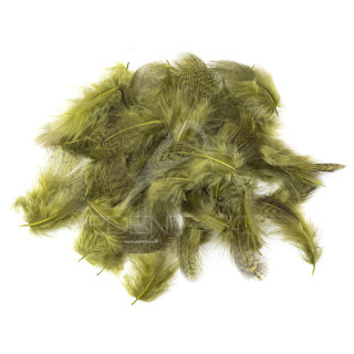 Partridge light hen back feathers dyed olive dun