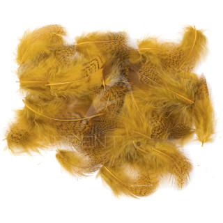 Partridge light hen back feathers dyed ginger