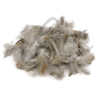 Partridge light collar feathers