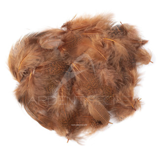 Partridge light hen back feathers dyed fiery brown