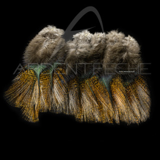 Pardo SELECT grade 2 encendido Feathers