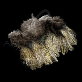 Pardo SELECT Grade 1 Corzuno Claro Feathers