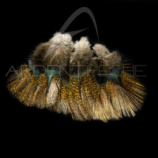 Pardo SELECT grade 1 encendido Feathers