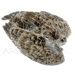 partridge-pair-of-wings